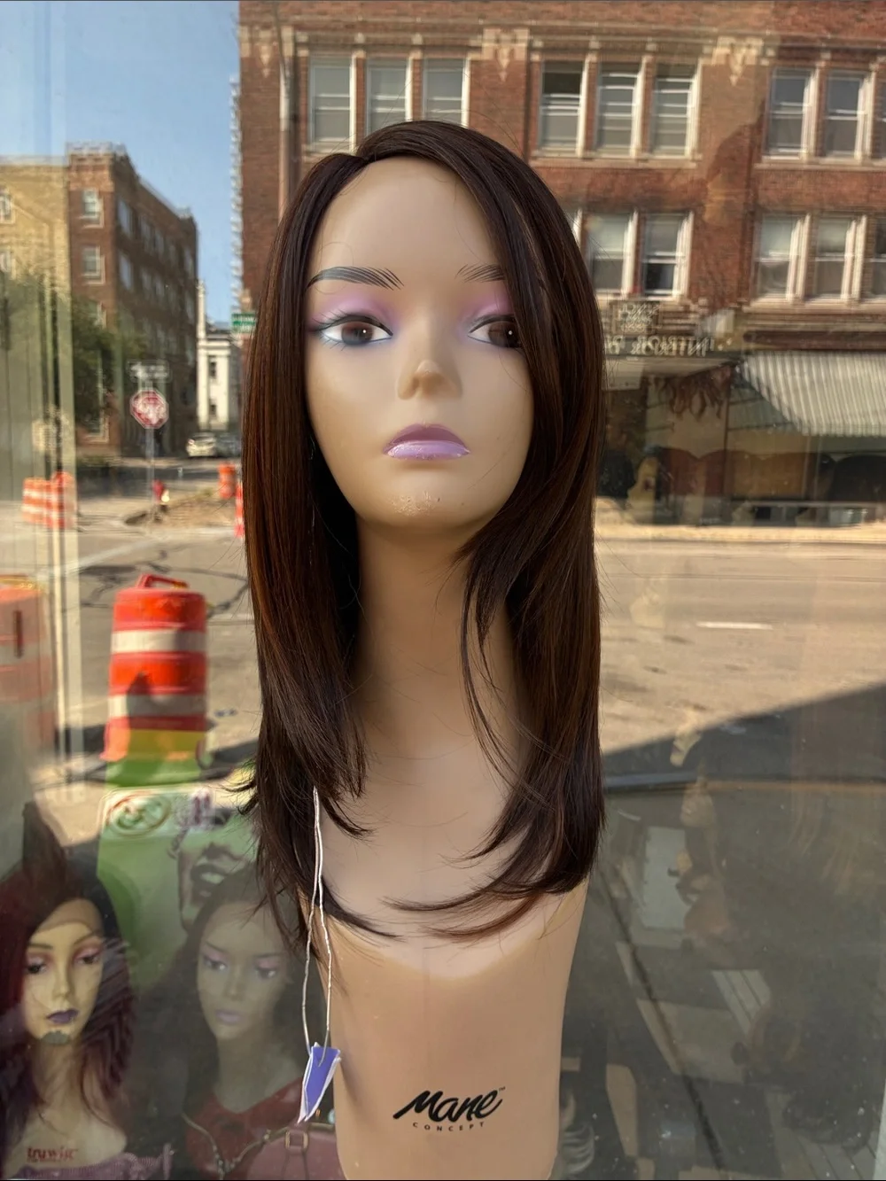 Brown Straight Layered Women's Wig - Sleek Natural Finish